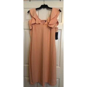 Brand New Rachel Roy dress with tags still on.